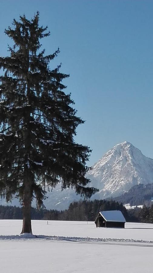 Hotel Tieschnhof Grobming Zewnętrze zdjęcie